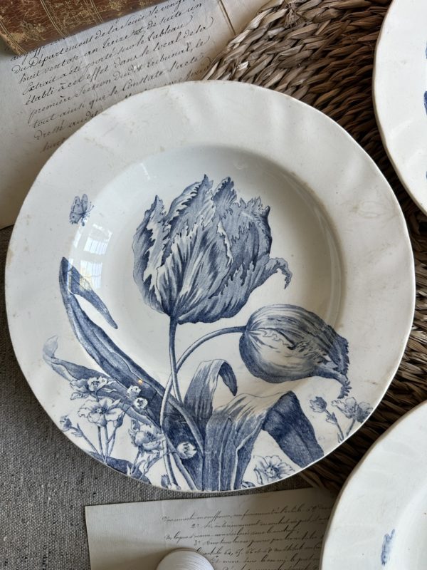 Suite de 3 assiettes creuses Creil et Montereau modèle Tulipes – Image 3