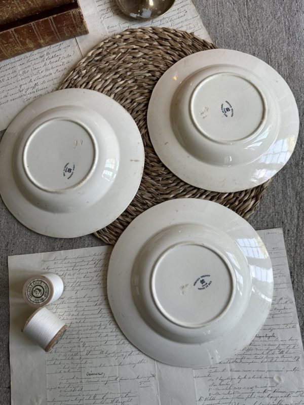 Suite de 3 assiettes creuses Creil et Montereau modèle Tulipes – Image 6