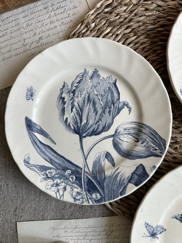 Suite de 3 assiettes à dessert Creil et Montereau modèle Tulipes – Image 3