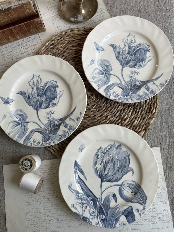 Suite de 3 assiettes plates Creil et Montereau modèle Tulipes