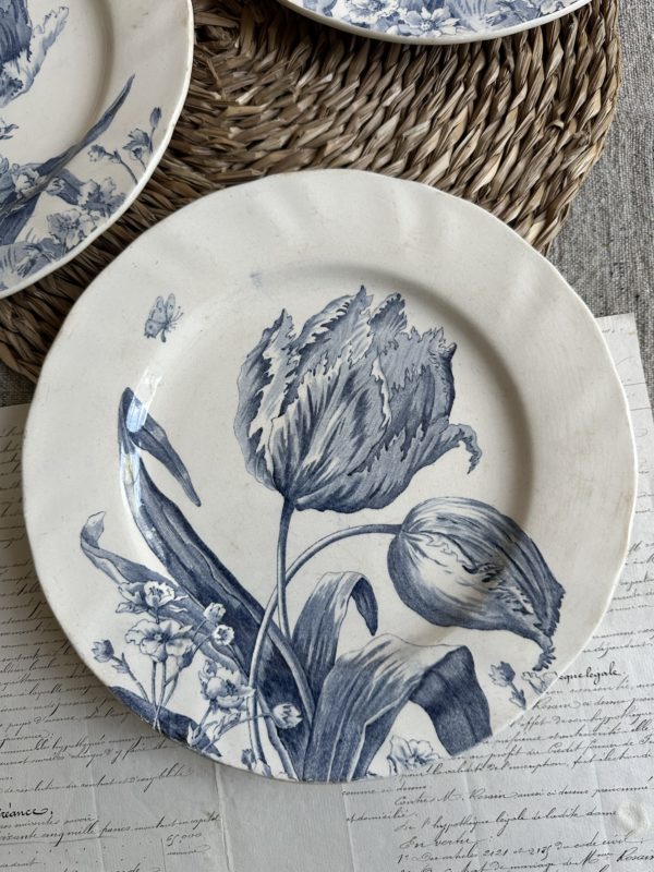 Suite de 3 assiettes plates Creil et Montereau modèle Tulipes – Image 2