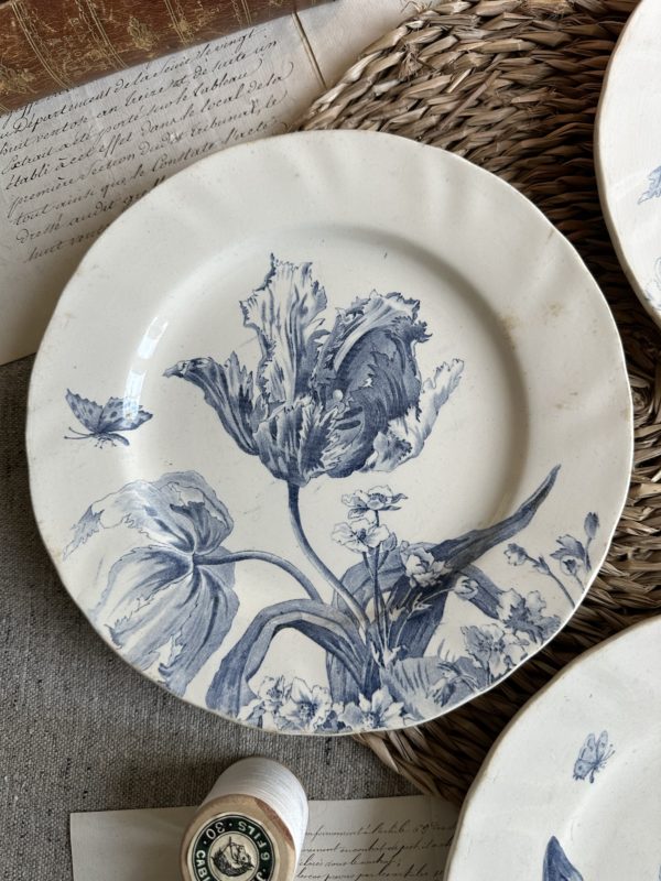 Suite de 3 assiettes plates Creil et Montereau modèle Tulipes – Image 3