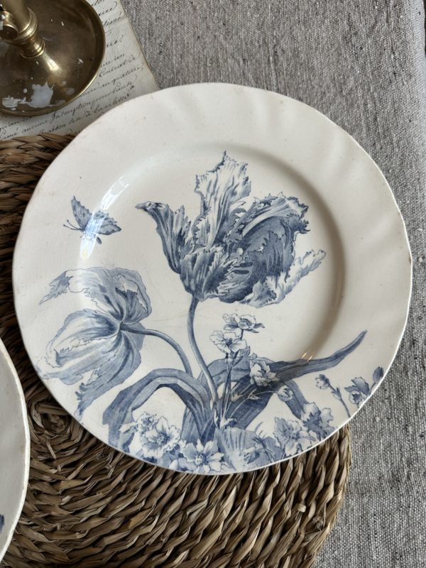 Suite de 3 assiettes plates Creil et Montereau modèle Tulipes – Image 4