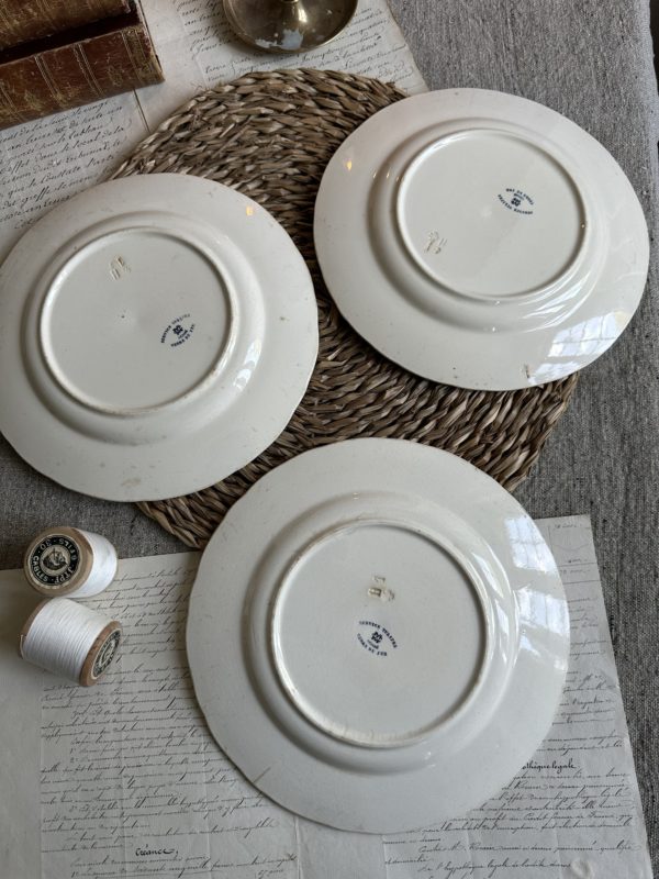 Suite de 3 assiettes plates Creil et Montereau modèle Tulipes – Image 5