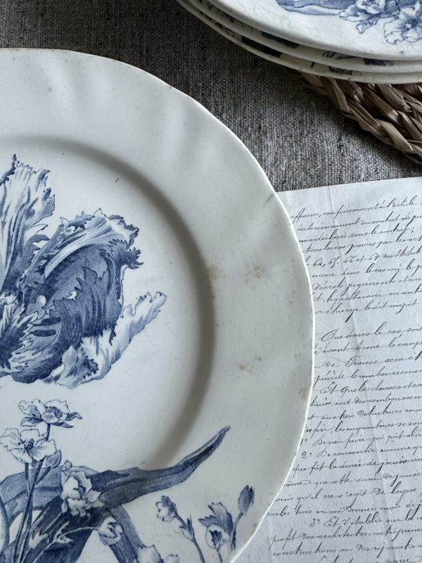 Suite de 3 assiettes plates Creil et Montereau modèle Tulipes – Image 6