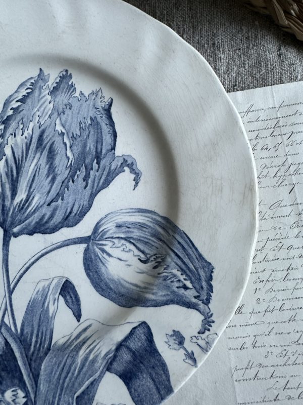 Suite de 3 assiettes plates Creil et Montereau modèle Tulipes – Image 7