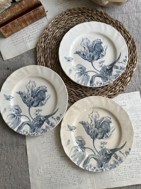 Réservé - 3 assiettes plates Creil et Montereau modèle Tulipes