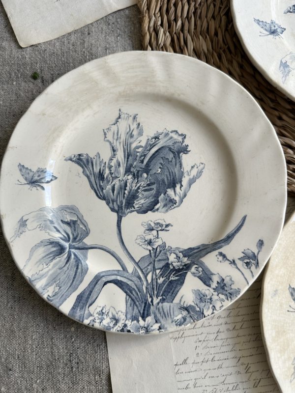 Réservé - 3 assiettes plates Creil et Montereau modèle Tulipes – Image 2