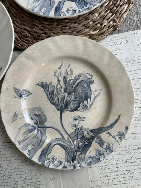 Réservé - 3 assiettes plates Creil et Montereau modèle Tulipes – Image 3