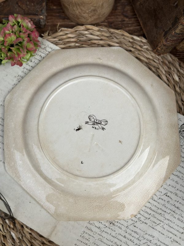 Assiette plate Moore & Co modèle ETON – 1886  – Image 4