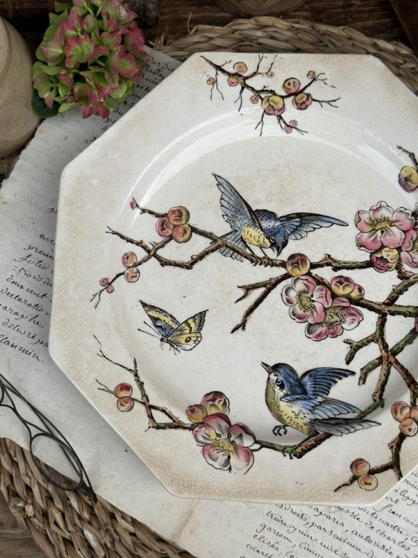 Assiette plate Moore & Co modèle ETON – 1886  – Image 2