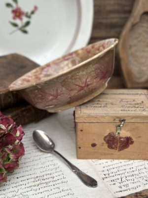 Bol Sarreguemines modèle Emilia