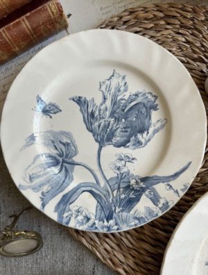 Réservé - assiette plate Tulipe Creil et Montereau
