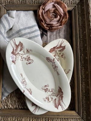 Ravier Lunéville Primevère