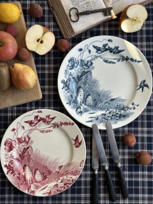 Réservé - Partie de service Jules Vieillard Bordeaux Oiseaux